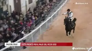 21 FEBBRAIO 2025 - PALO DEL COLLE, TUTTO PRONTO PER IL PALIO DEL VICCIO 2025