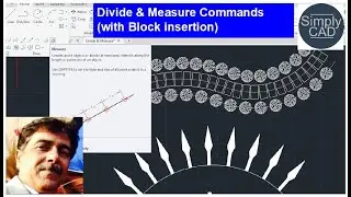 Insert and align multiple blocks at equal distance