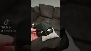 Made my cat a batman costume for Halloween with my 3D printer and she turned into.... #batman #cat