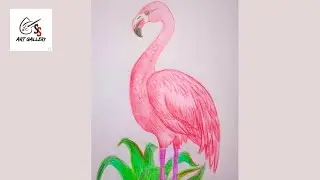 How to draw easy flamingo 🦩 colour pencil sketch drawing step by step#drawing #art 