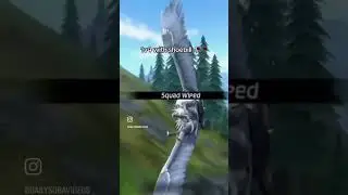 Bird game 3 clips
