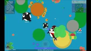 Mope.io Killer Whale Gameplay