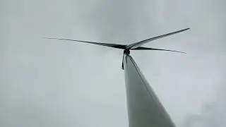 #Peter_Trys investigating the mass killing of birds from Wind Turbines!👍