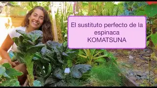 &iquest;Problemas con la espinaca? &iexcl;PLANTE KOMATSUNA!