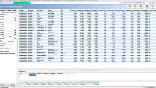 AKINSOFT Wolvox 8 - Stock Inventory (With Unit)
