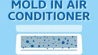 How To Get Rid Of Mold in AC FAST