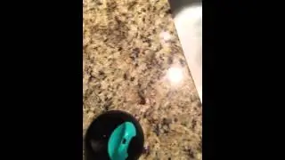 Tommee Tippee Cup MOLD