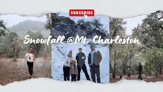 Snowfall at Mt. Charleston | Nov 16, 2025
