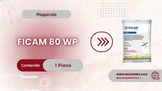 FICAM 80 WP 12 G