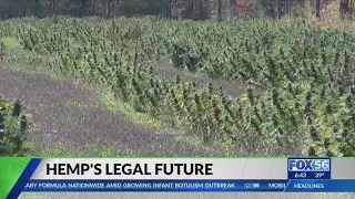 Kentucky hemp farmer reacts after Senate vote puts livelihood on the line