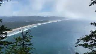 Misty Serenade at Cape Lookout