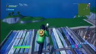 Fortnite_20191127234117