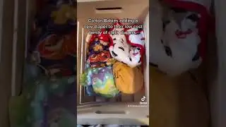 Elemental Joy AIO diaper is a pass