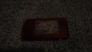 SHINY CRUSTLE