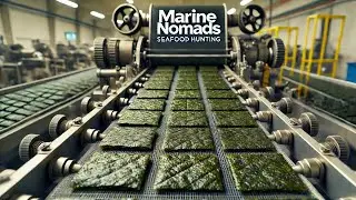 Seaweed From A-Z: Ocean to Table - Nori Seaweed & Snack Production Process (Detailed!)