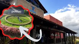 GARANHUNS-PE FAZENDA POLILAC #garanhuns  #fazenda #fabricaqueijo #turismorural #lazer