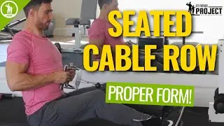 Seated Cable Row &ndash; Full Video Tutorial & Exercise Guide