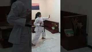 Karate Kata Shito Ryu 🥋🔥🔥#herurealita #karate #kata #shitoryu #annan #karatetraining
