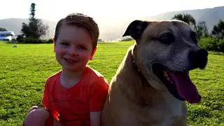 Responsible Dog Ownership