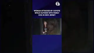 Woman attacked by coyote while outside with family dog in New Jersey