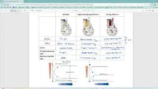 2.1 DYNAMIC EQUILIBRIUM
