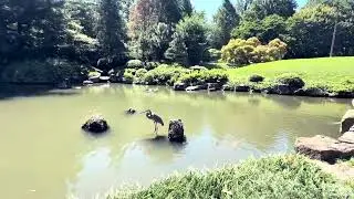 Shofuso Japanese House and Garden 