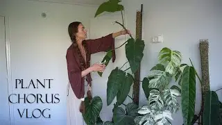 Catching up on plant chorus VLOG