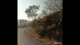 long drive #close to the nature #live every moment #just enjoy