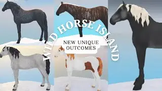 WILD HORSE ISLAND #1 | New Unique Outcomes and how to get them!