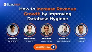 How to Increase Revenue Growth by Improving Database Hygiene