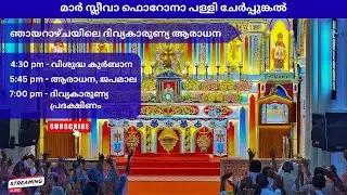 ചേർപ്പുങ്കൽ പള്ളിയിൽ ഞായറാഴ്ചയിലെ വി. കുർബാന, ദിവ്യകാരുണ്യ ആരാധന (04.01.2026) 4.30pm
