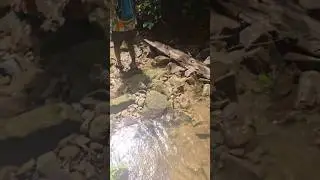 Finding Scary Hidden Places🏞 #offbeat#asmr#deepforest#hidden#nature#fountain#river#scary#wildlife