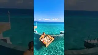 Floating breakfast😍💖 @ Maldives pool || Things to do in Maldives || Naturelada