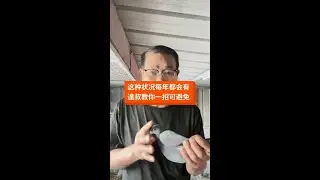 养鸽基础知识分享 #赛鸽信鸽 #传递正能量 #诚信