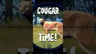 Идеальный выстрел по пуме 😳 | Путь охотника #wayofthehunter #shortsfeed #cougars