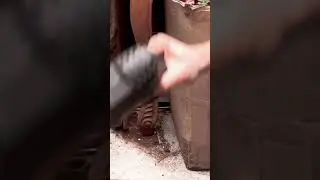 [Grumpy Carpenter] Ketan twig hook【暴躁木匠】科檀拼樹枝掛鈎