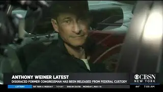 Anthony Weiner Released From Custody