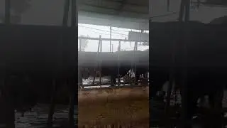 Live MY Farm