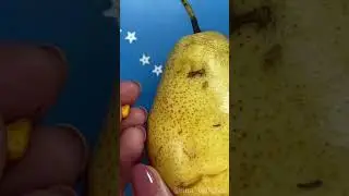 Making miniature yellow pear with polymer clay 💛 Paid tutorial preview