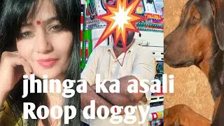 Controversy video#jhinga ko#Koi gadhe per baitha raha hai#kutte per#suar per bitha rahe hain