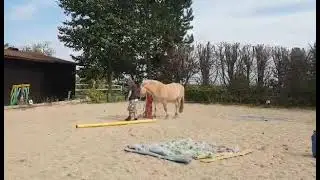 Libertytraining :)