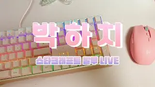 ♥ 2026.02.02 LIVE [박하치] 스타 빨무 StarCraft ♥