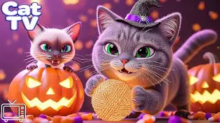 CAT TV: Entertainment Videos for Cats to Watch | Ultimate Cartoon for Cats to Soothe Cat's Anxiety