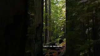 Lost in infinity #ambient #vlaspace #infinity