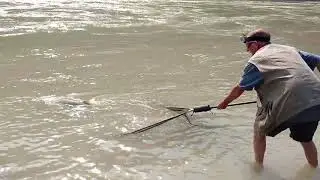 66lb (30kg) Golden Mahseer World Record - The GREATEST Fish