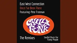 Once Ive Been There (feat. Pete Trotman) (L+T Project Soul Common Mix)
