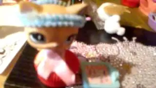 *LPS Friends* 1 серия