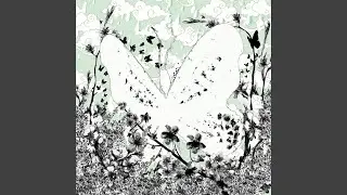 Beauty in Decay