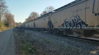 NS and CP leading CSX grainer at Peaks Rd. Hanover County, VA. 11/25/2017