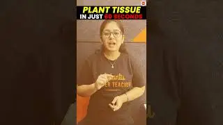 PLANT TISSUES in 60 Seconds😱 | Tissues Class 9 | CBSE Class 9 Science Biology #Cbse2024Exam #Class9